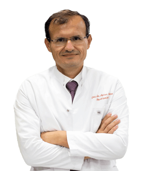 Dr. Ayhan Olcay